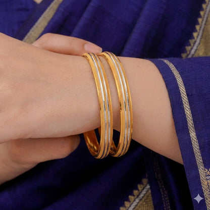 Ravina Bangles ( set of 2 )