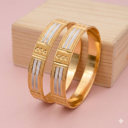 Zankhi Bangles ( set of 2 )